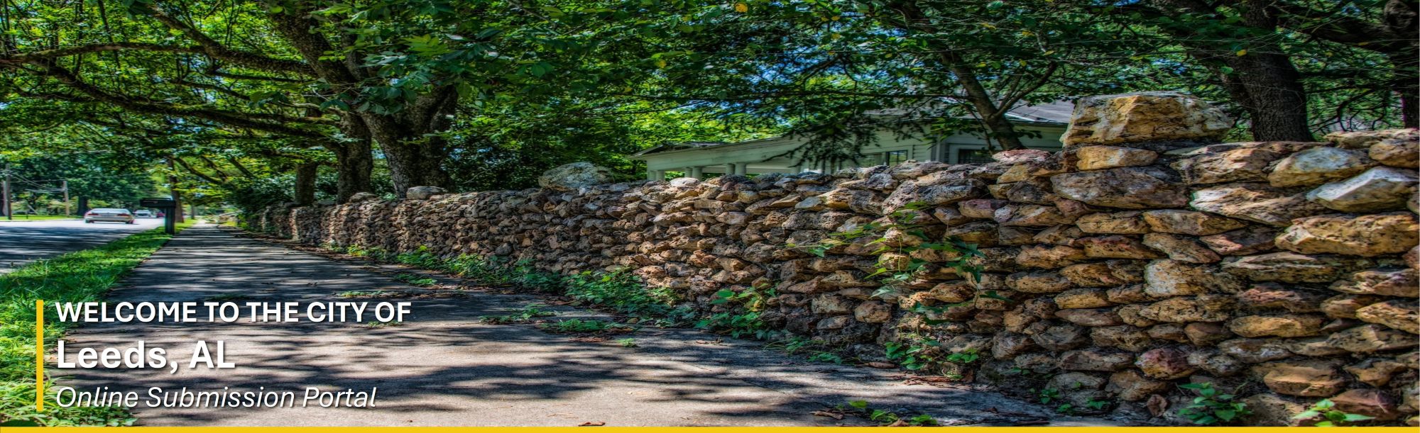 Town of Buena Vista main street